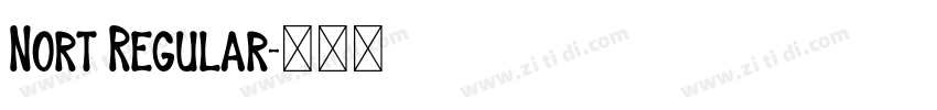 Nort Regular字体转换